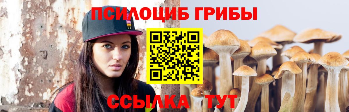 Псилоцибиновые грибы GOLDEN TEACHER Верхняя Салда